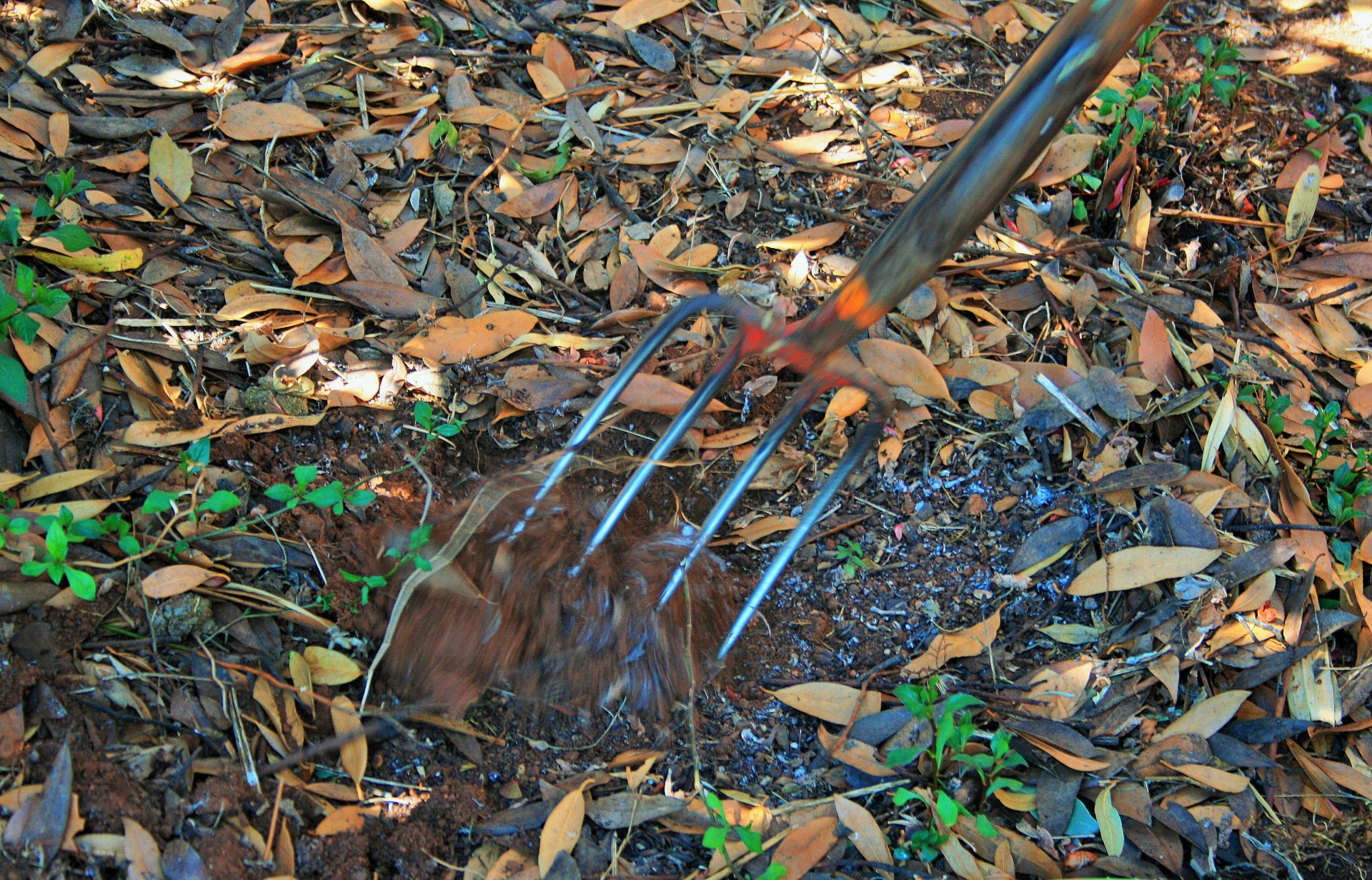 garden fork soil free photo