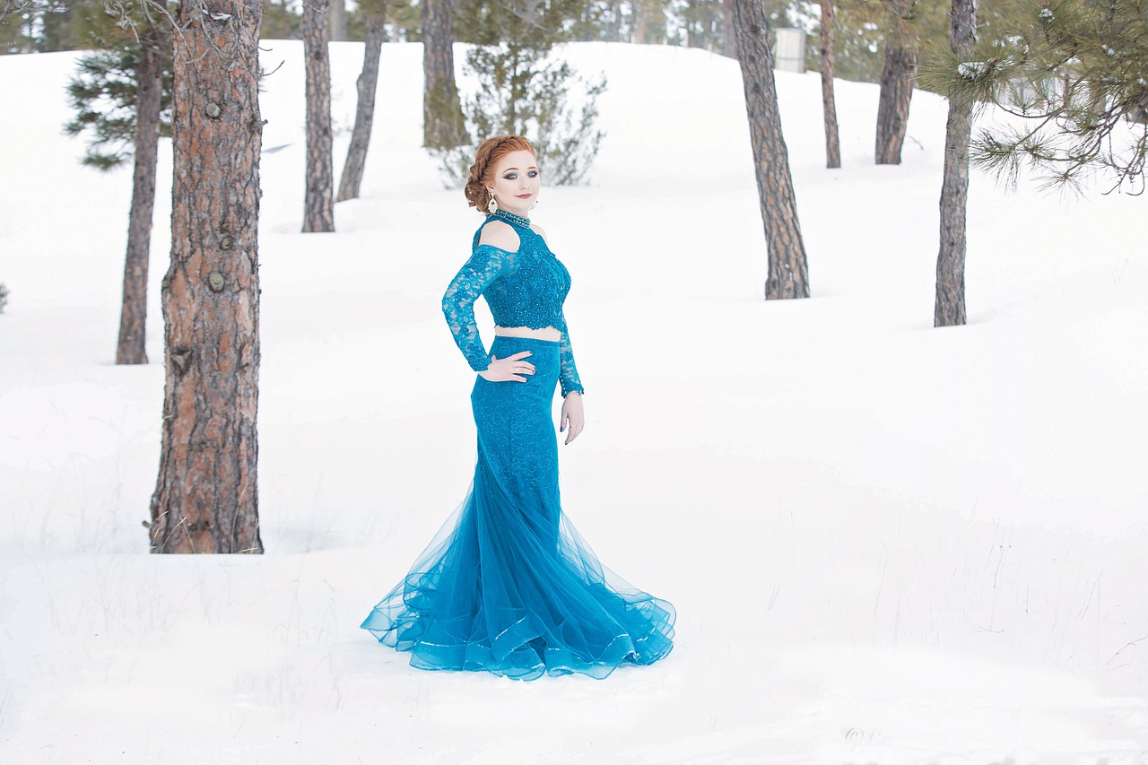 Formal, dress, snow, winter, gown - free image from