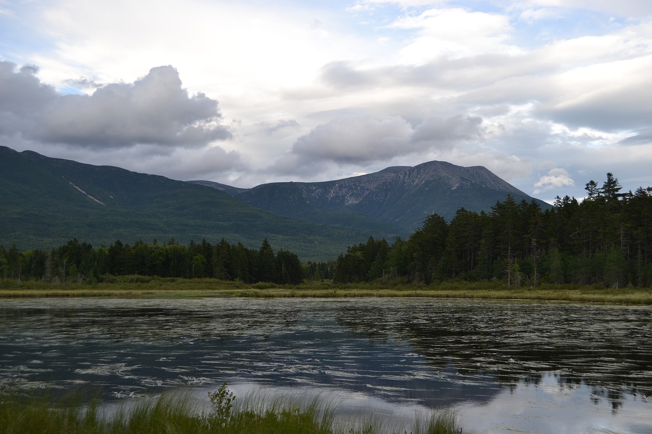 forrest  mountains  pond free photo