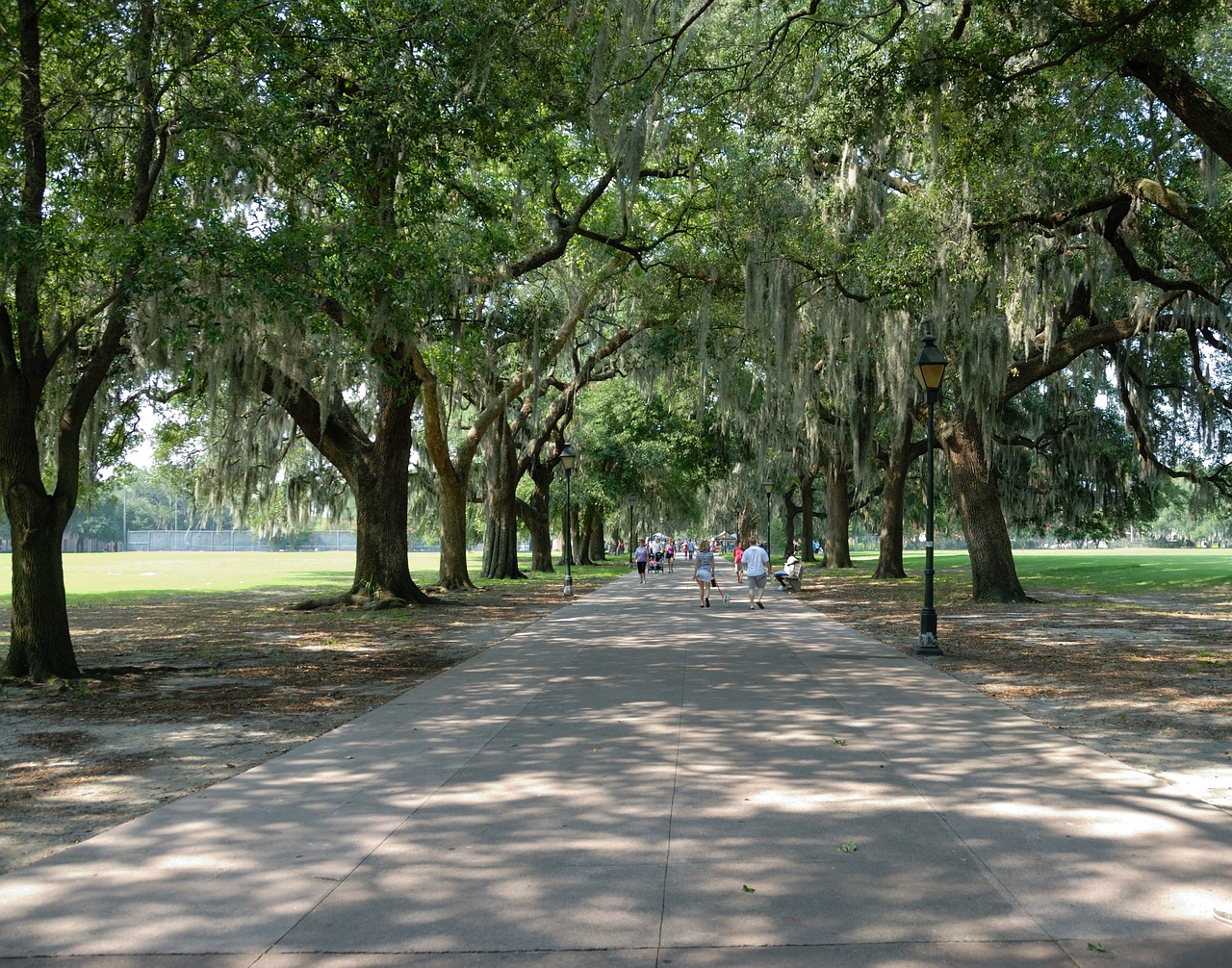 Download free photo of Forsyth park,savannah,georgia,usa,park - from needpix.com