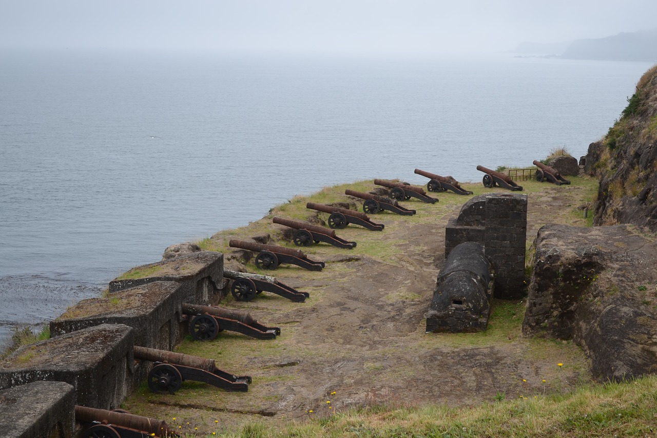fortress cannons defense free photo