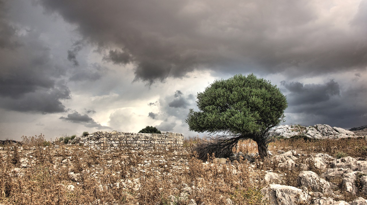 forward storm thunderstorm free photo