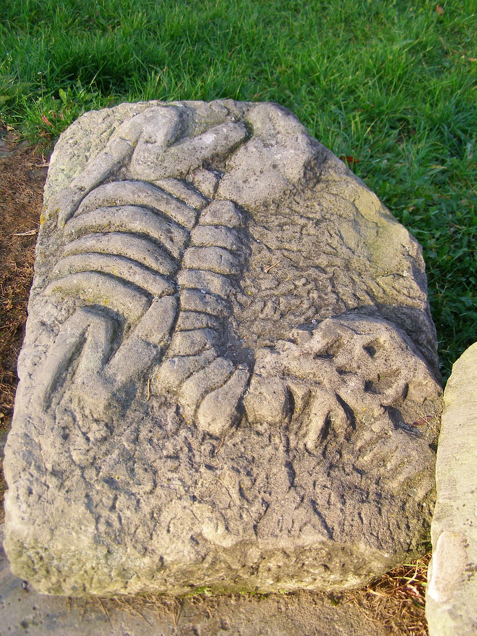fossil sculpture dinosaur free photo