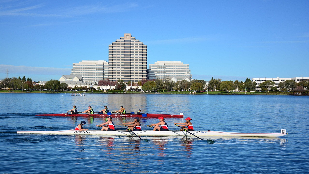 foster city  rowing  coxwain free photo