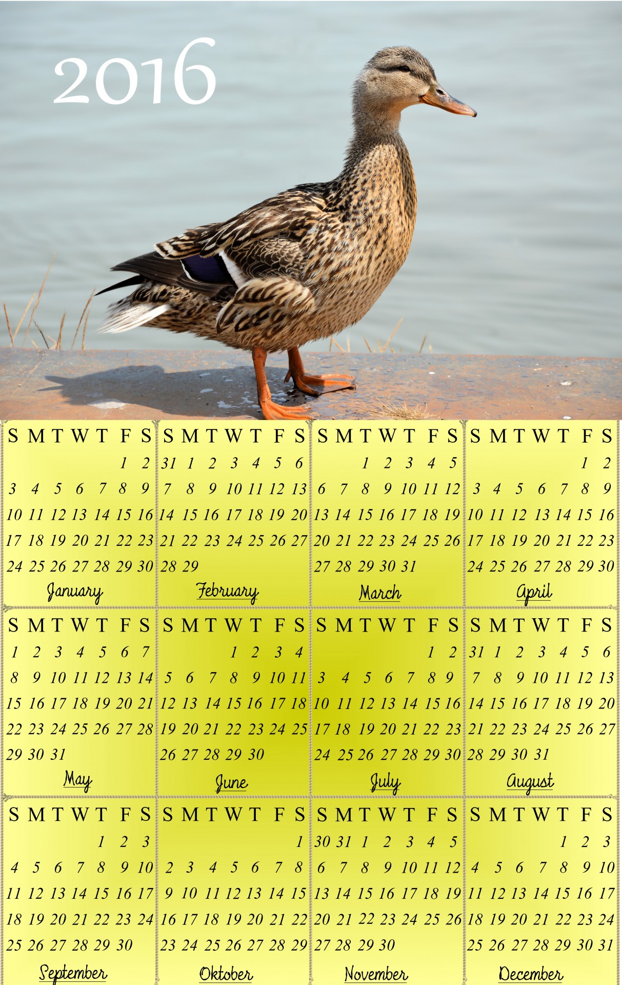 2016 calendar month year free photo