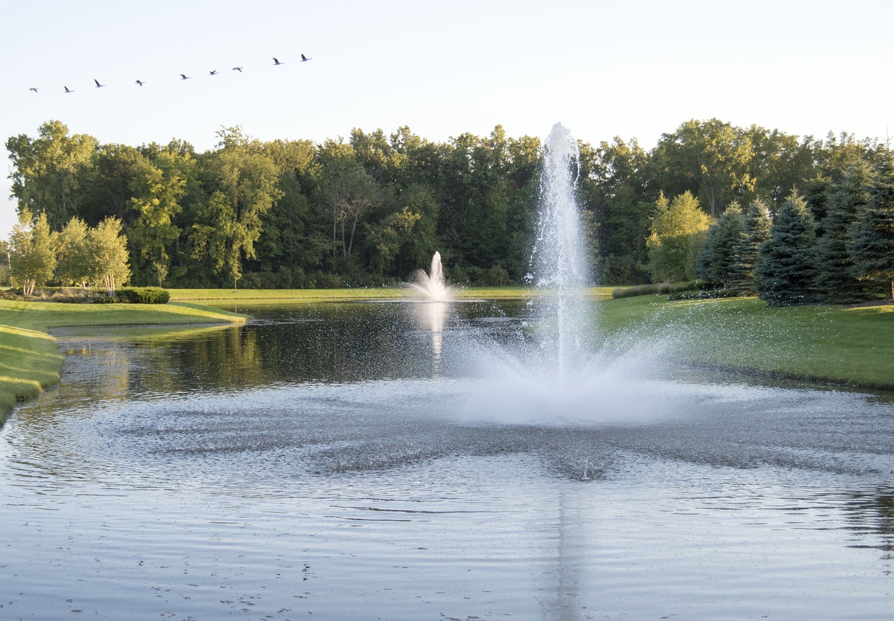 fountain ducks summer free photo