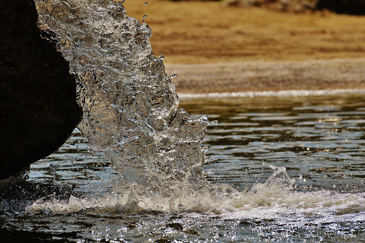 fountain water sparkling free photo