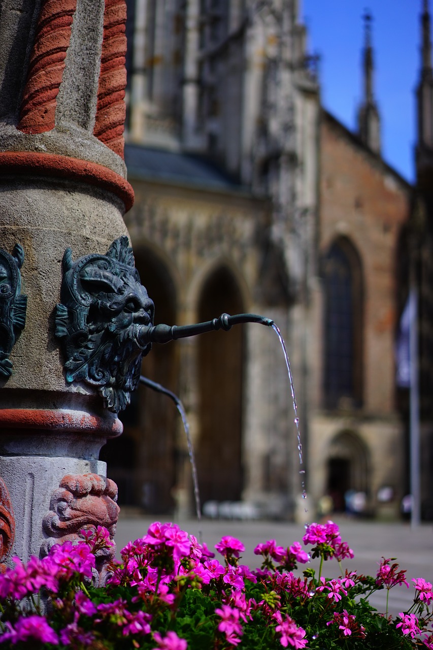 fountain water geranium free photo