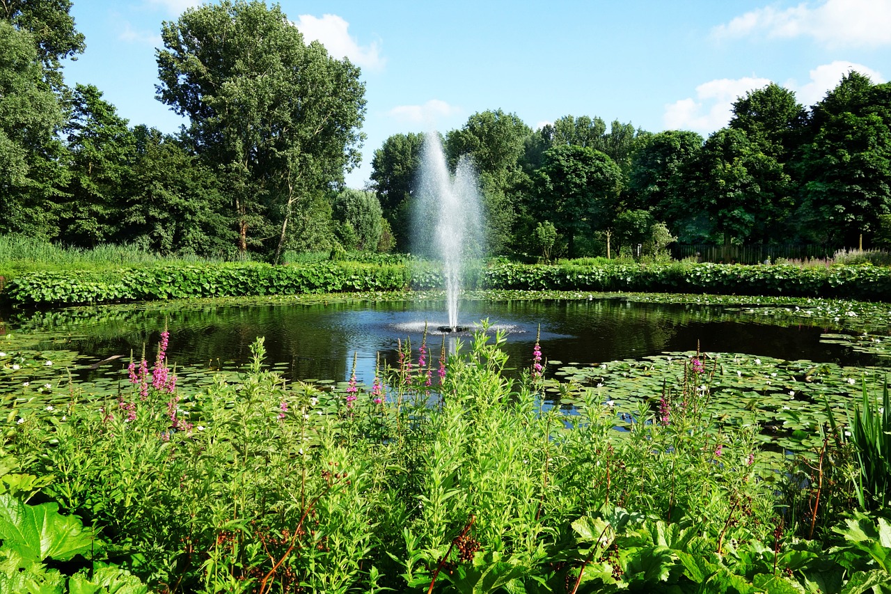 fountain pond spray free photo