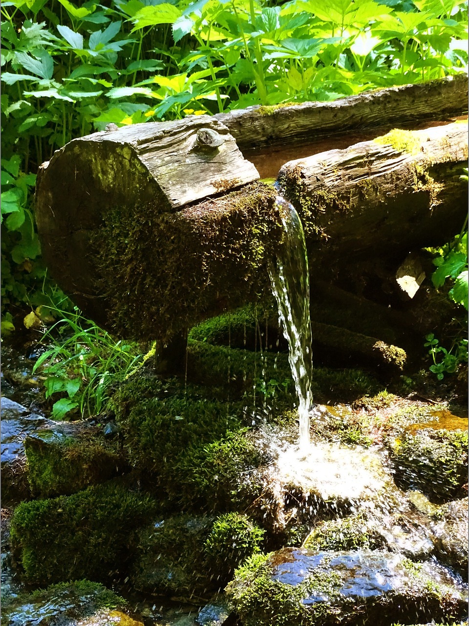 fountain water wood free photo