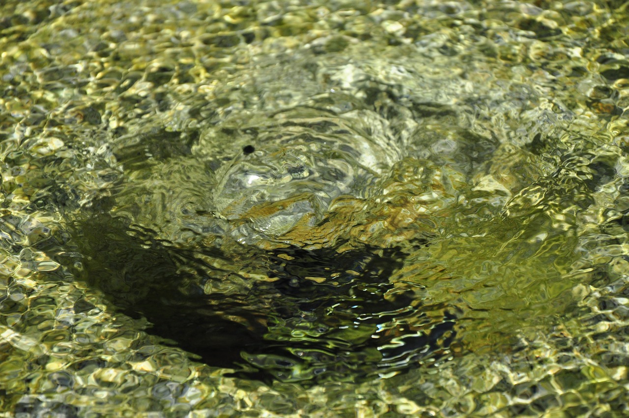 fountain water water surface free photo