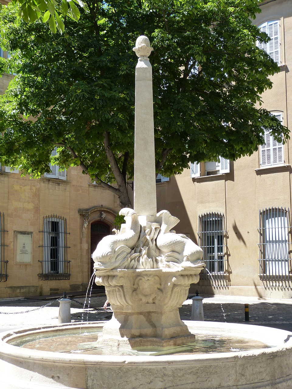 fountain dolphin dolphin mediterranean free photo