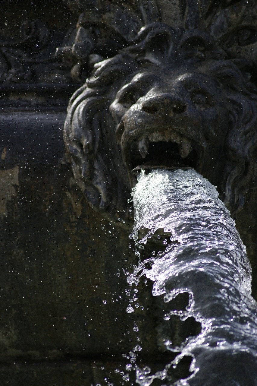 fountain lion water free photo