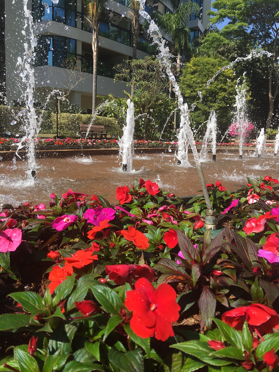 fountain flower landscape free photo