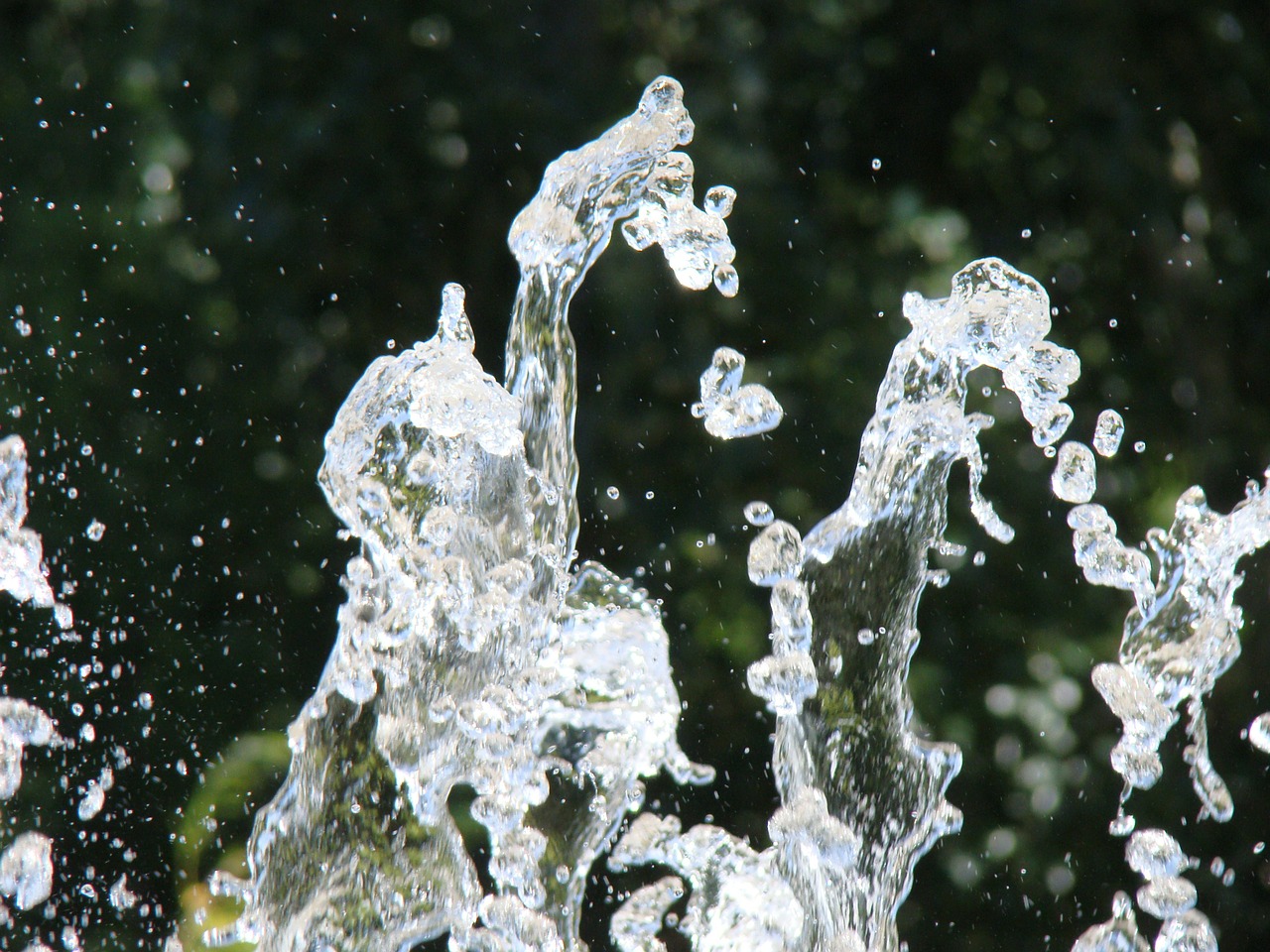 fountain jet water free photo