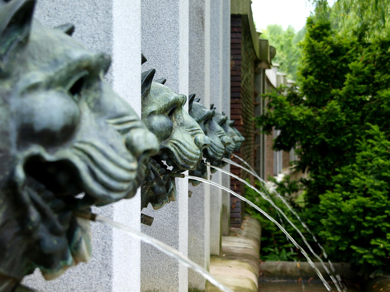 fountain lions spout free photo