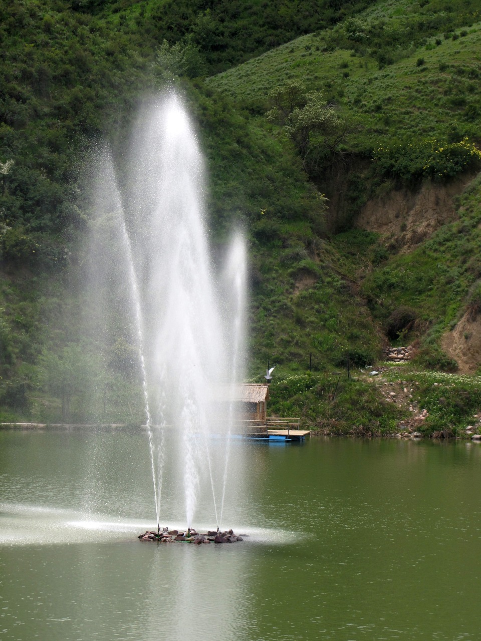 fountain nature lake free photo