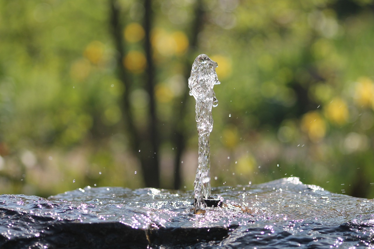 fountain water summer free photo