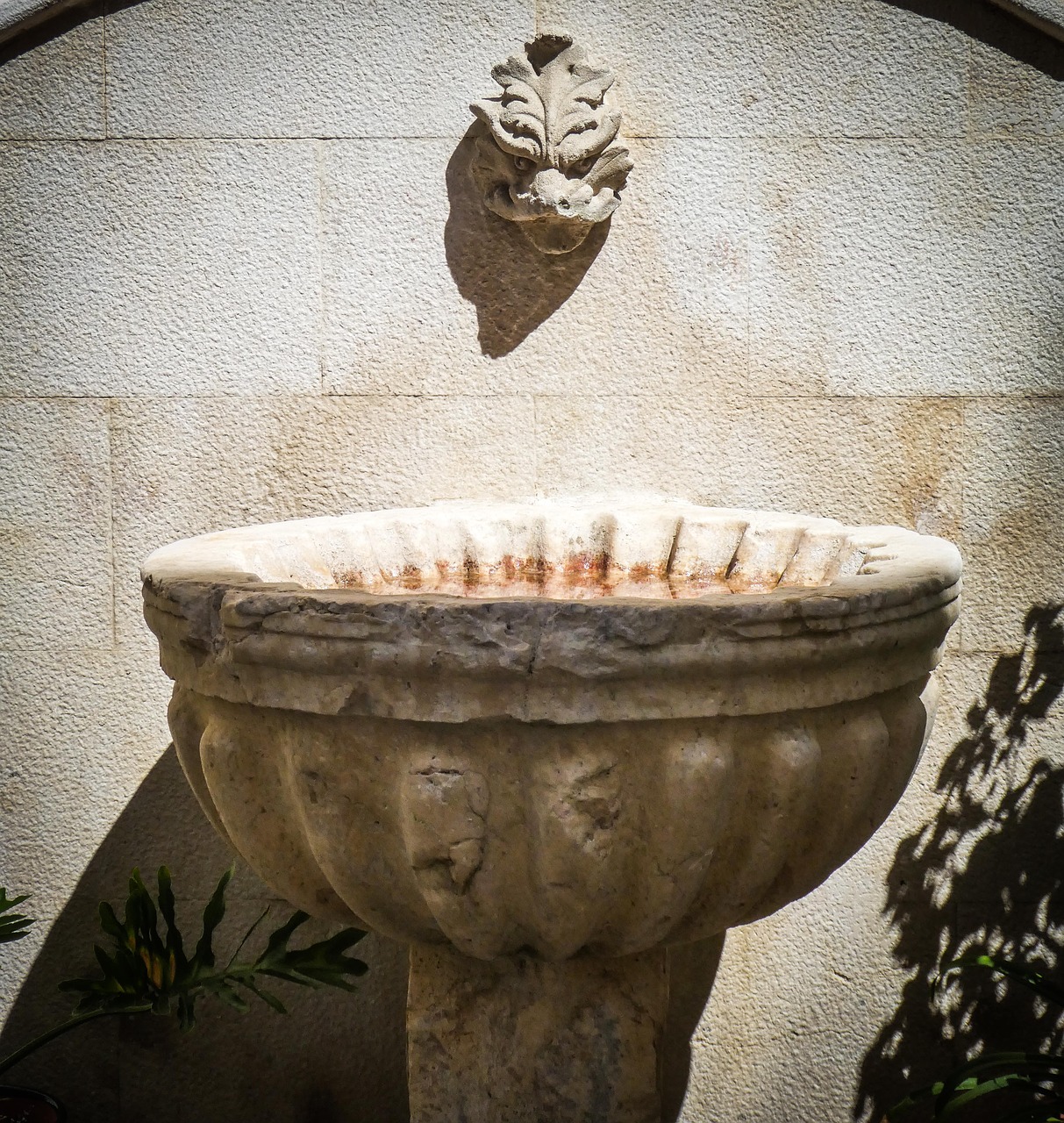 fountain water drink free photo