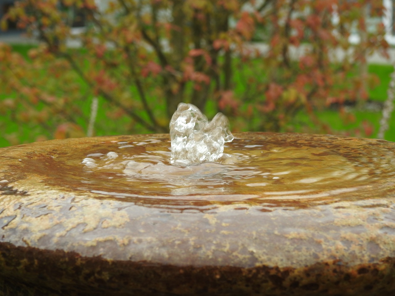 fountain water well water free photo