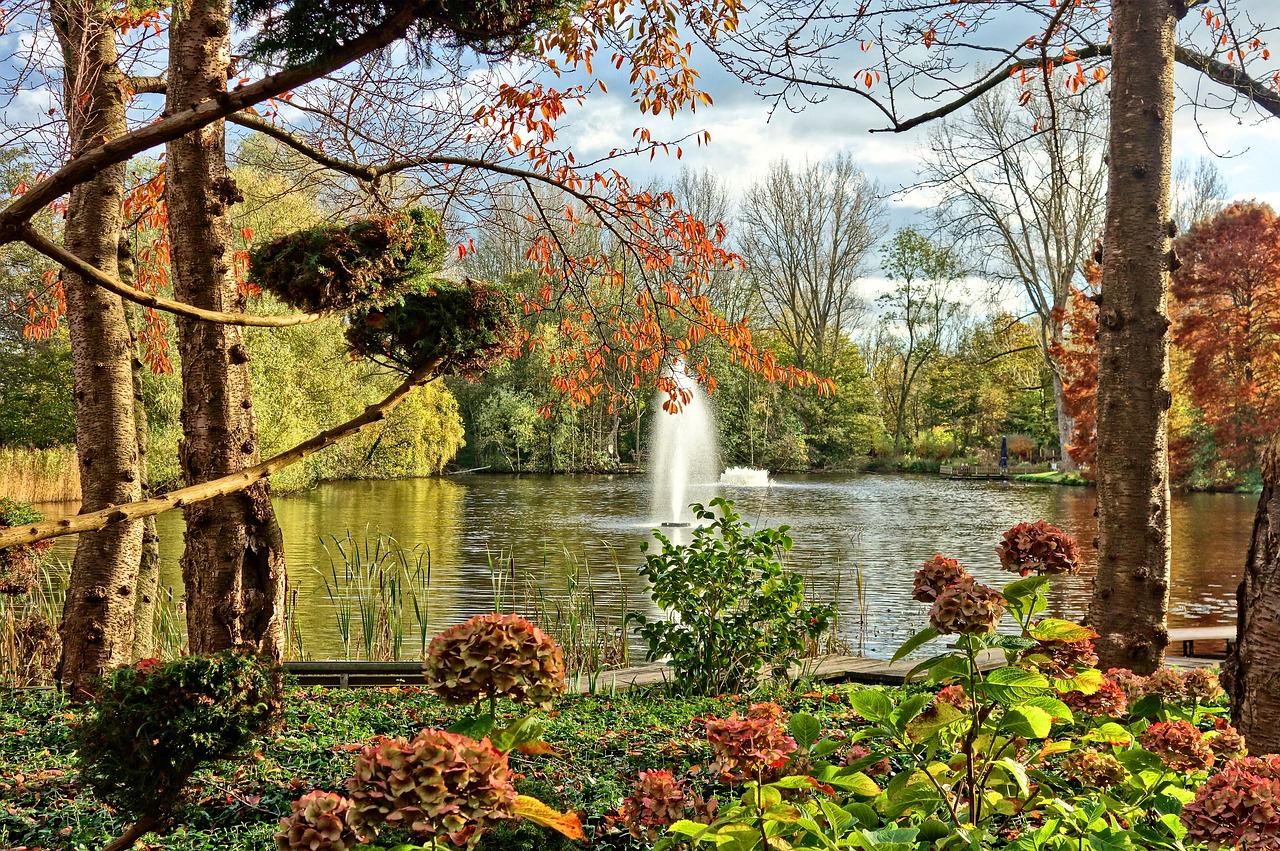 fountain pond park free photo