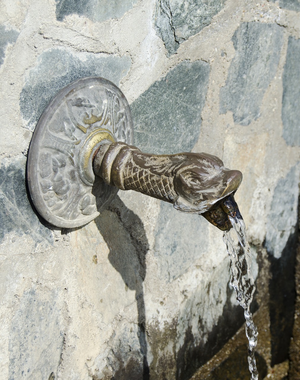 fountain bronze snake head free photo