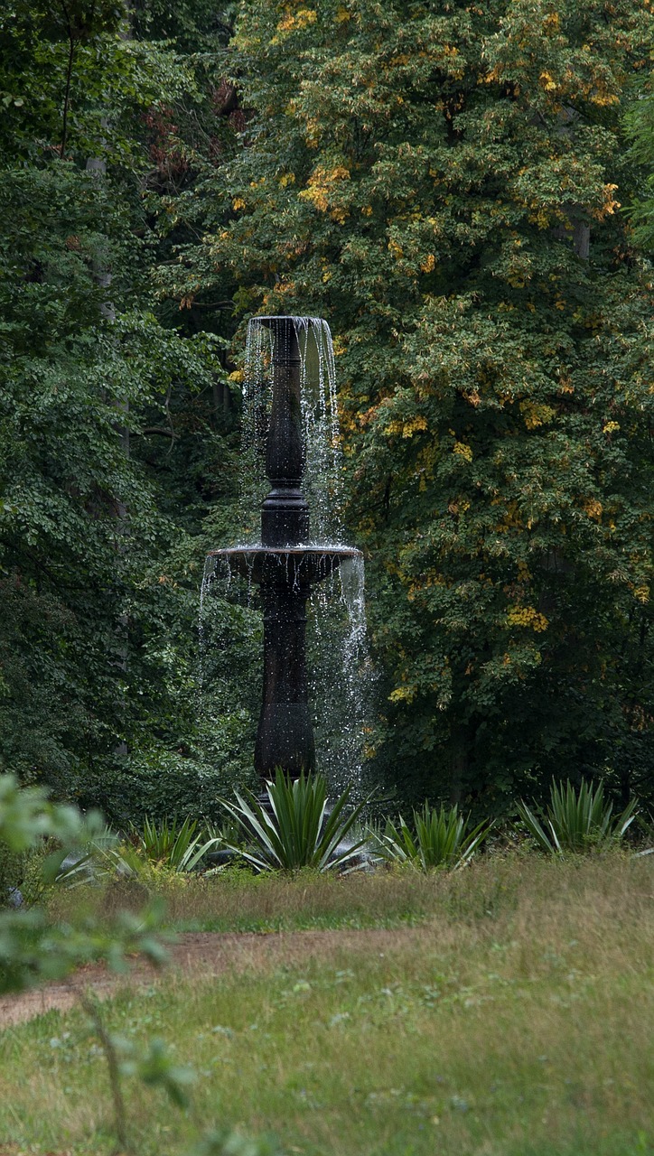 fountain  tree  nature free photo