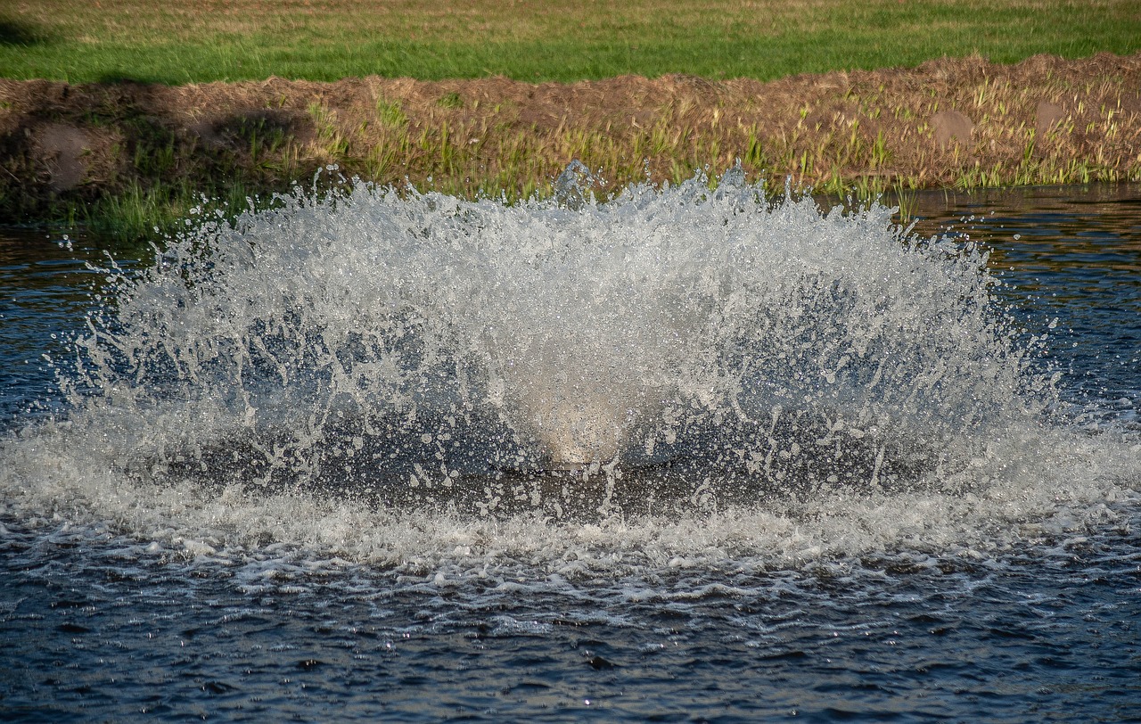 fountain  water  drop of water free photo