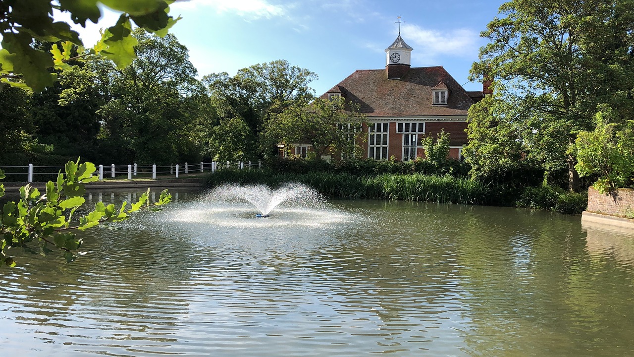 fountain  pond  water free photo