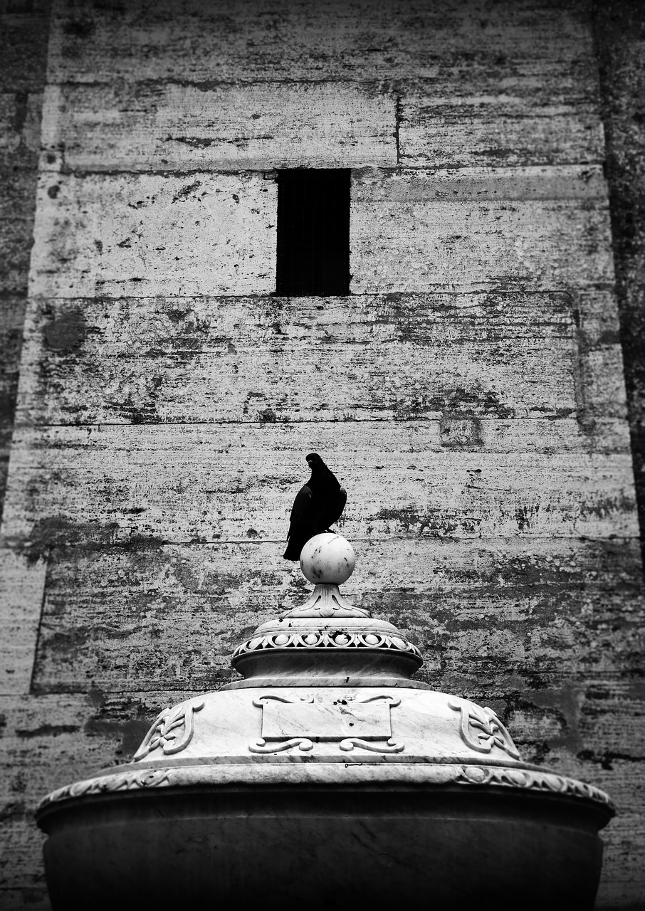 fountain  pegean  vatican free photo