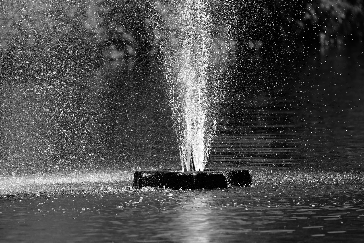 fountain  water  pond free photo