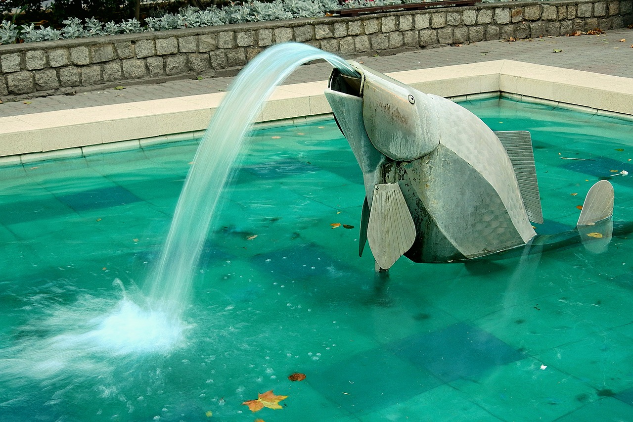 fountain  fish  water free photo