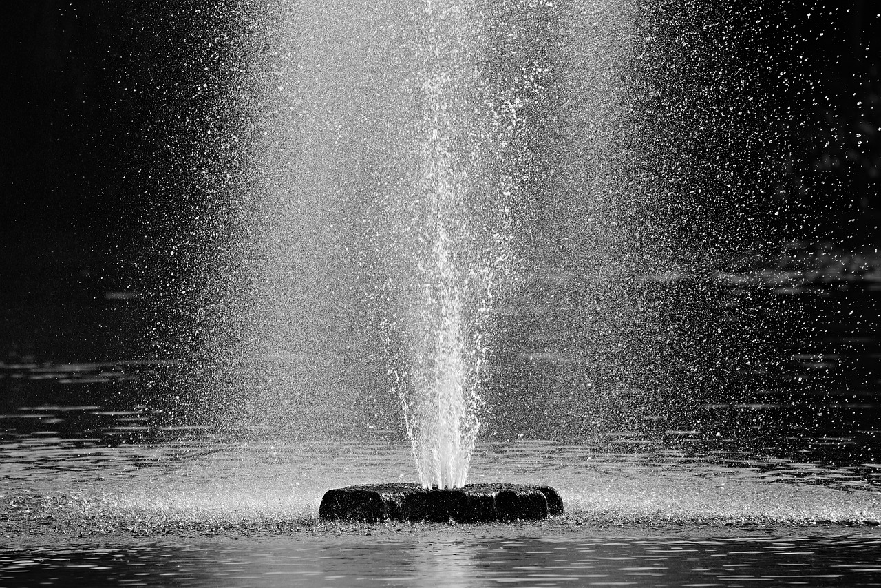 fountain  water  spray free photo