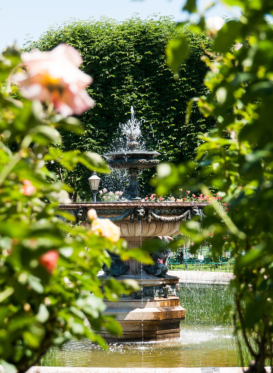 fountain  roses  garden rose garden free photo