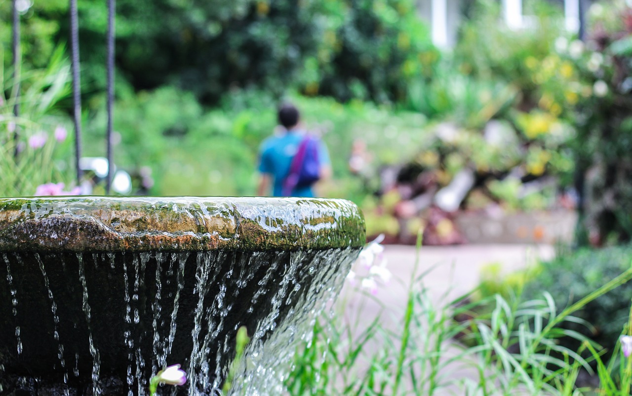 fountain  water  botanic garden free photo