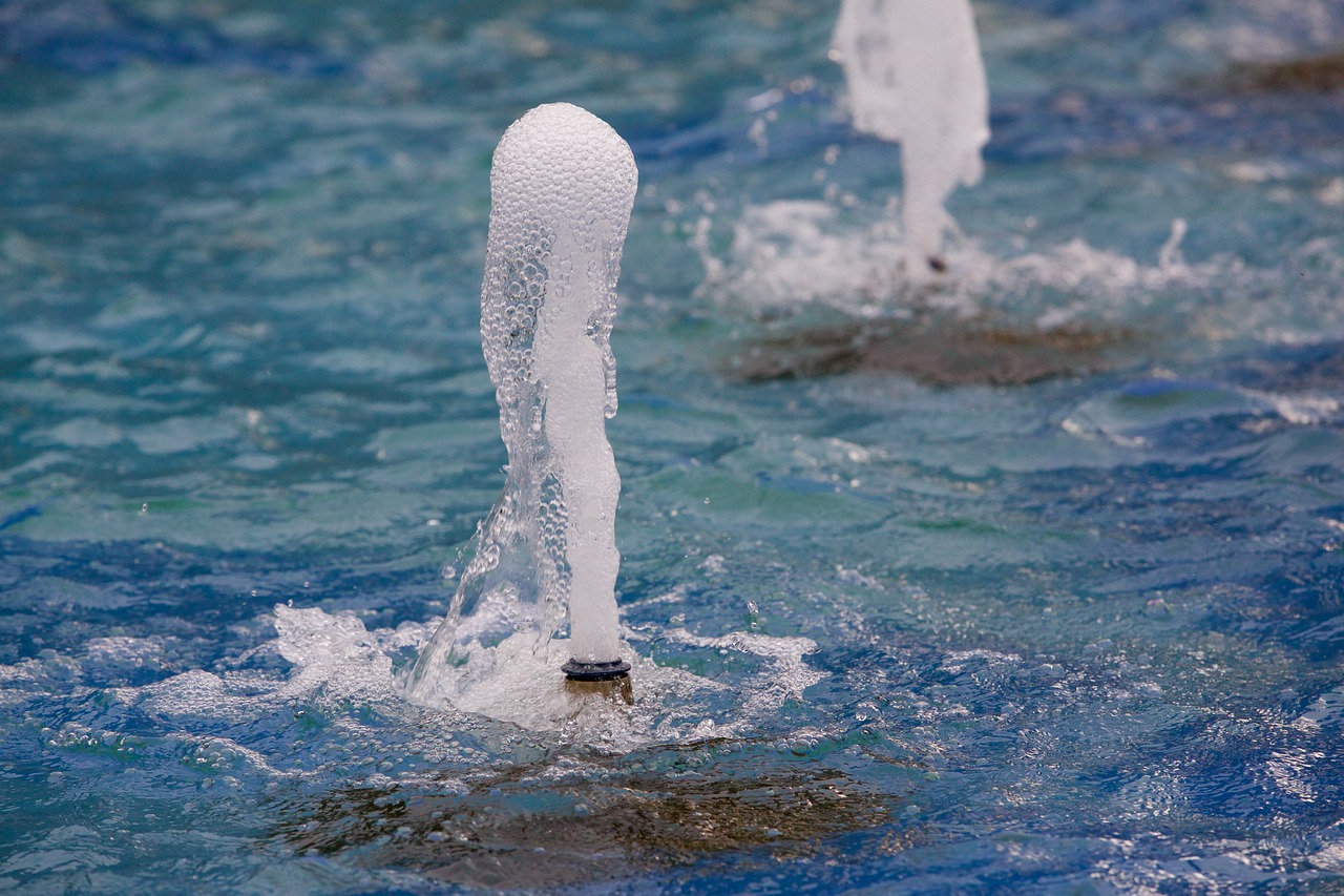 fountain  water  gargoyle free photo