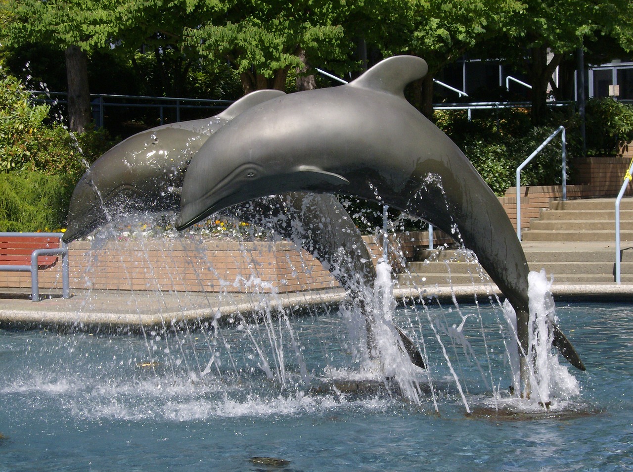 fountain dolphin statue free photo