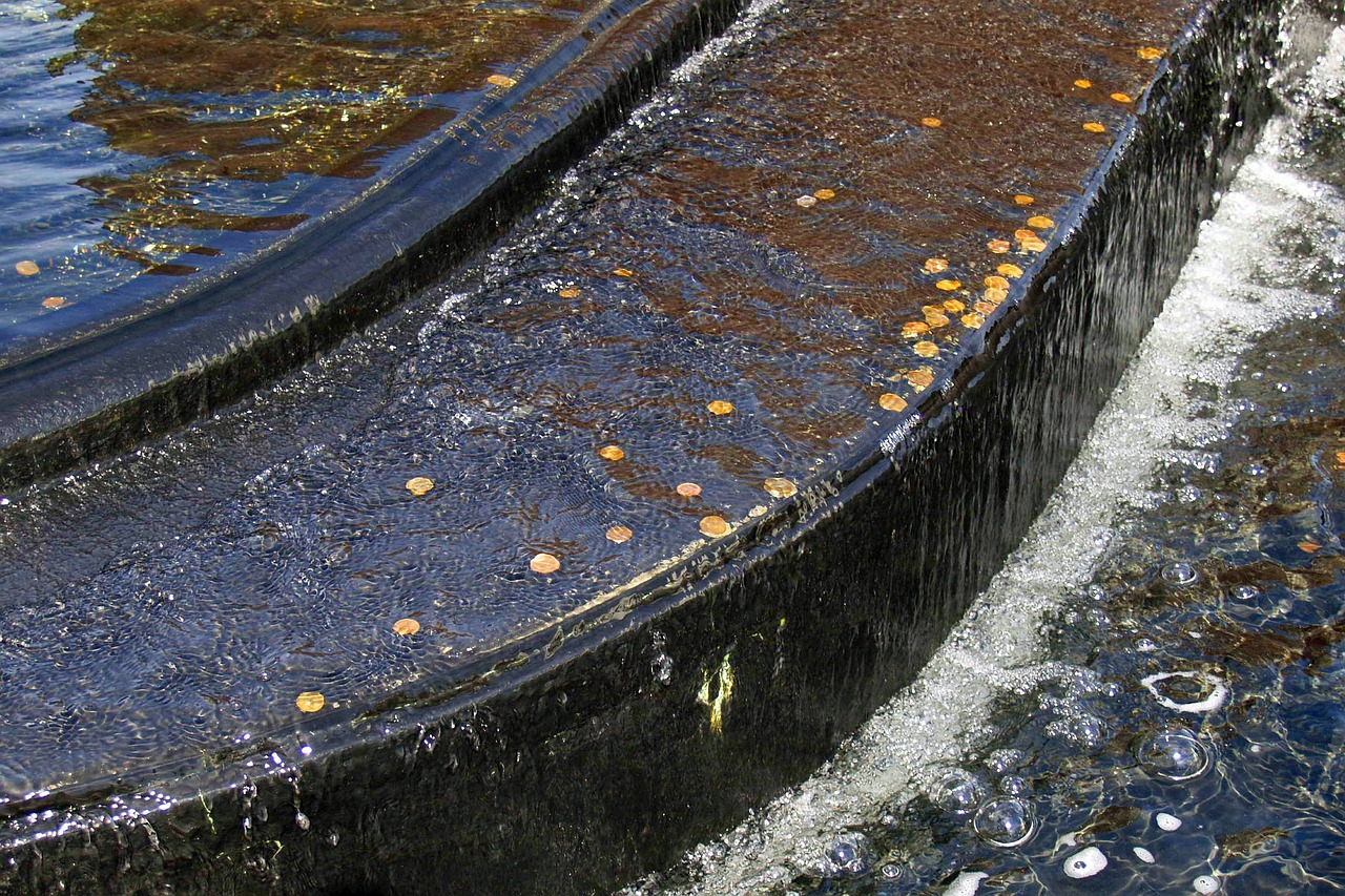 fountain water coins free photo