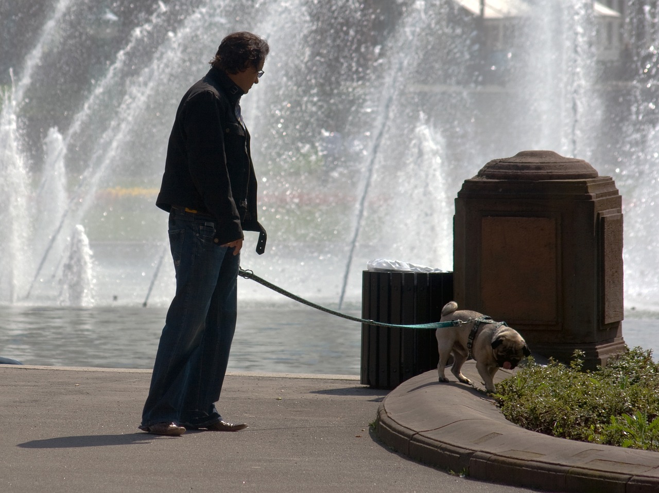 fountain human dog free photo