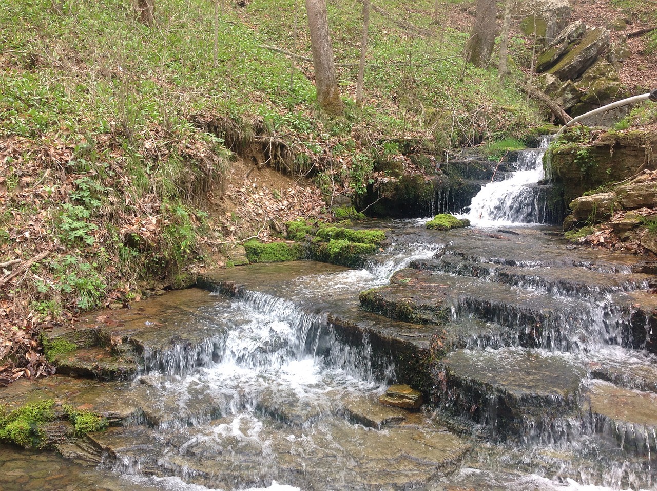 fountain water nature free photo