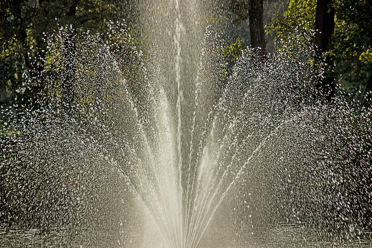 fountain water nature free photo