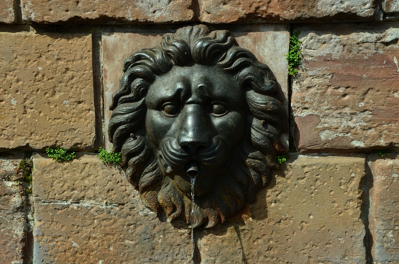 fountain wall lion head free photo