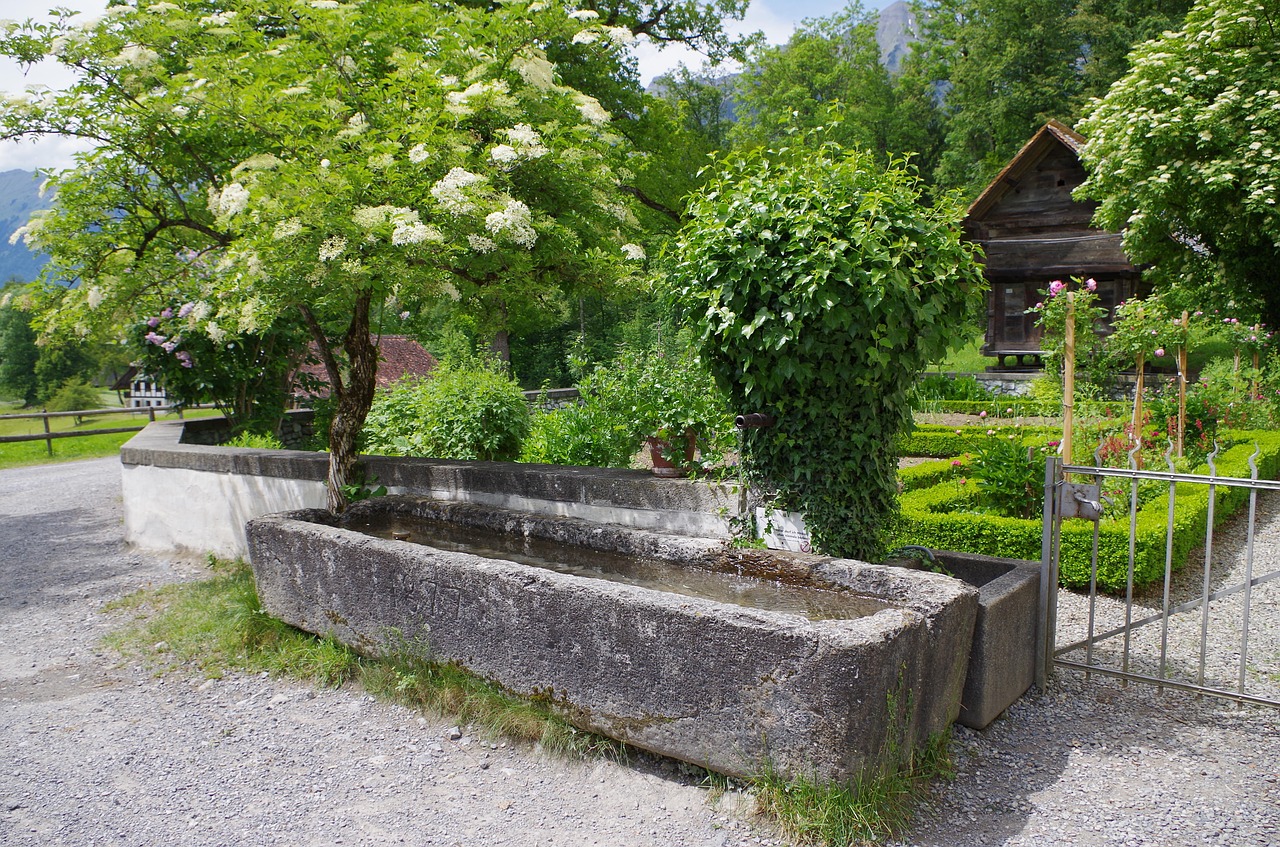 fountain pierre elderberry free photo