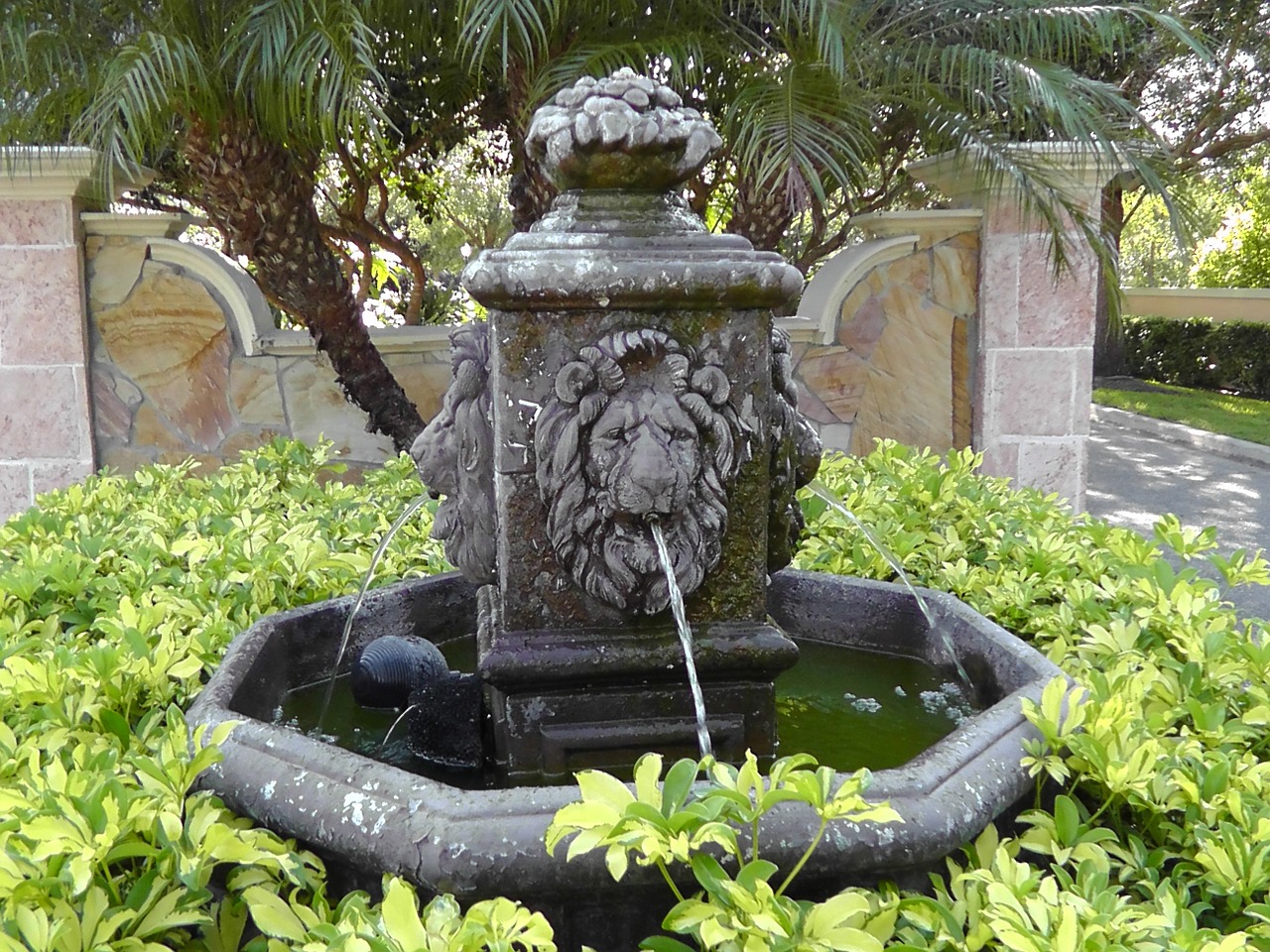 fountain water lion free photo
