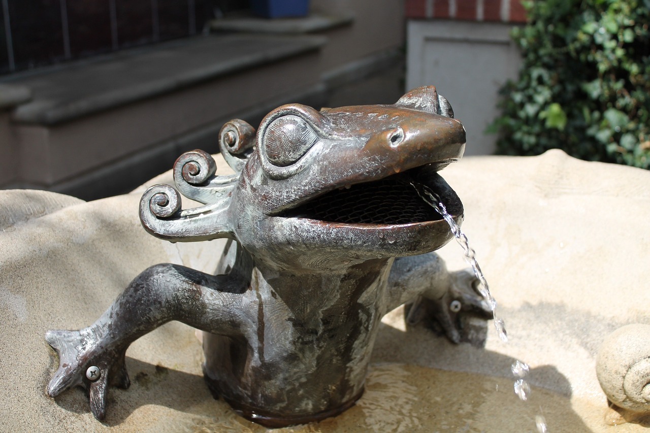 fountain statue frog free photo