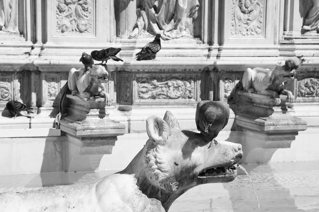 fountain siena italy free photo