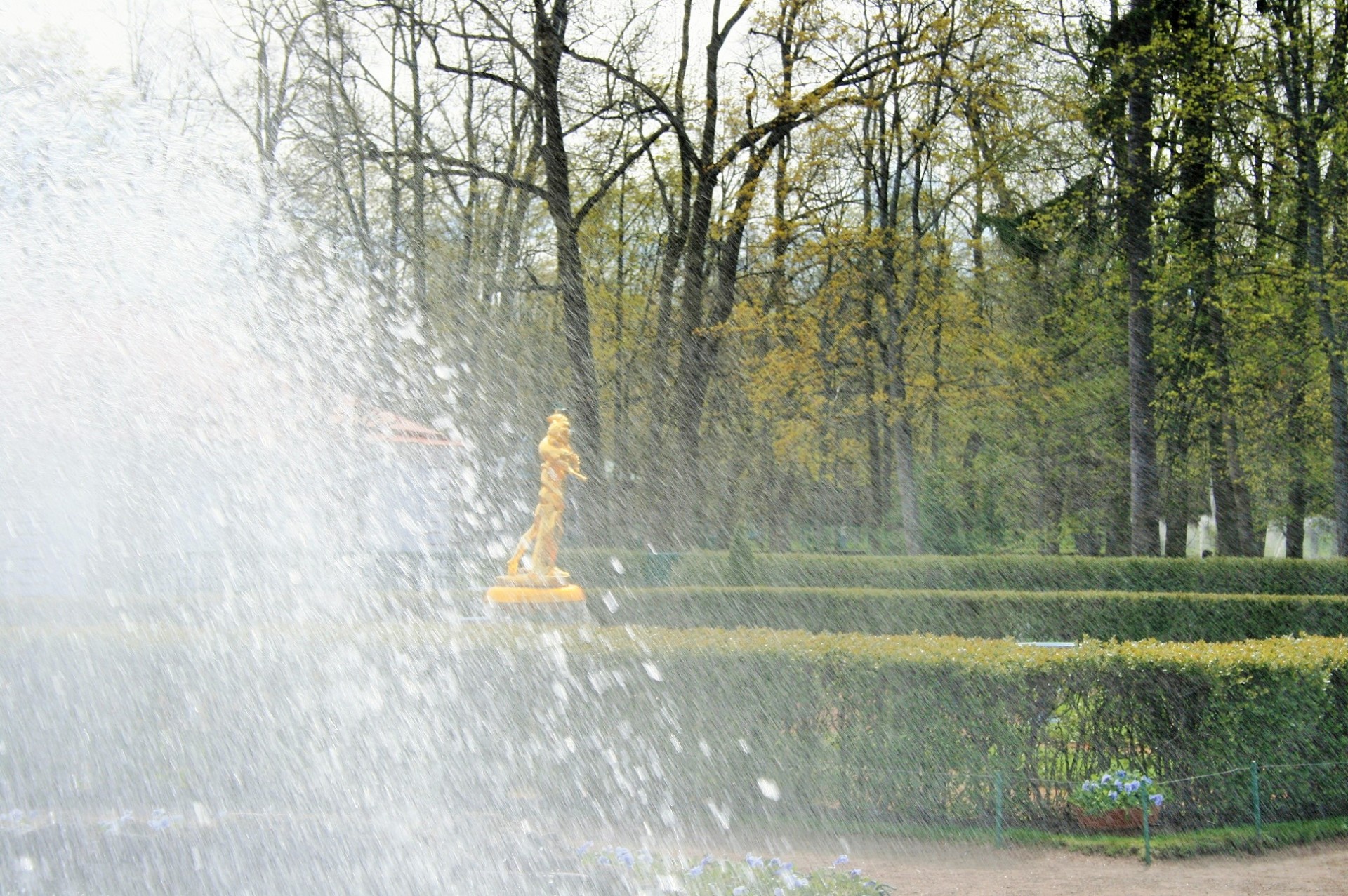fountain water spray free photo