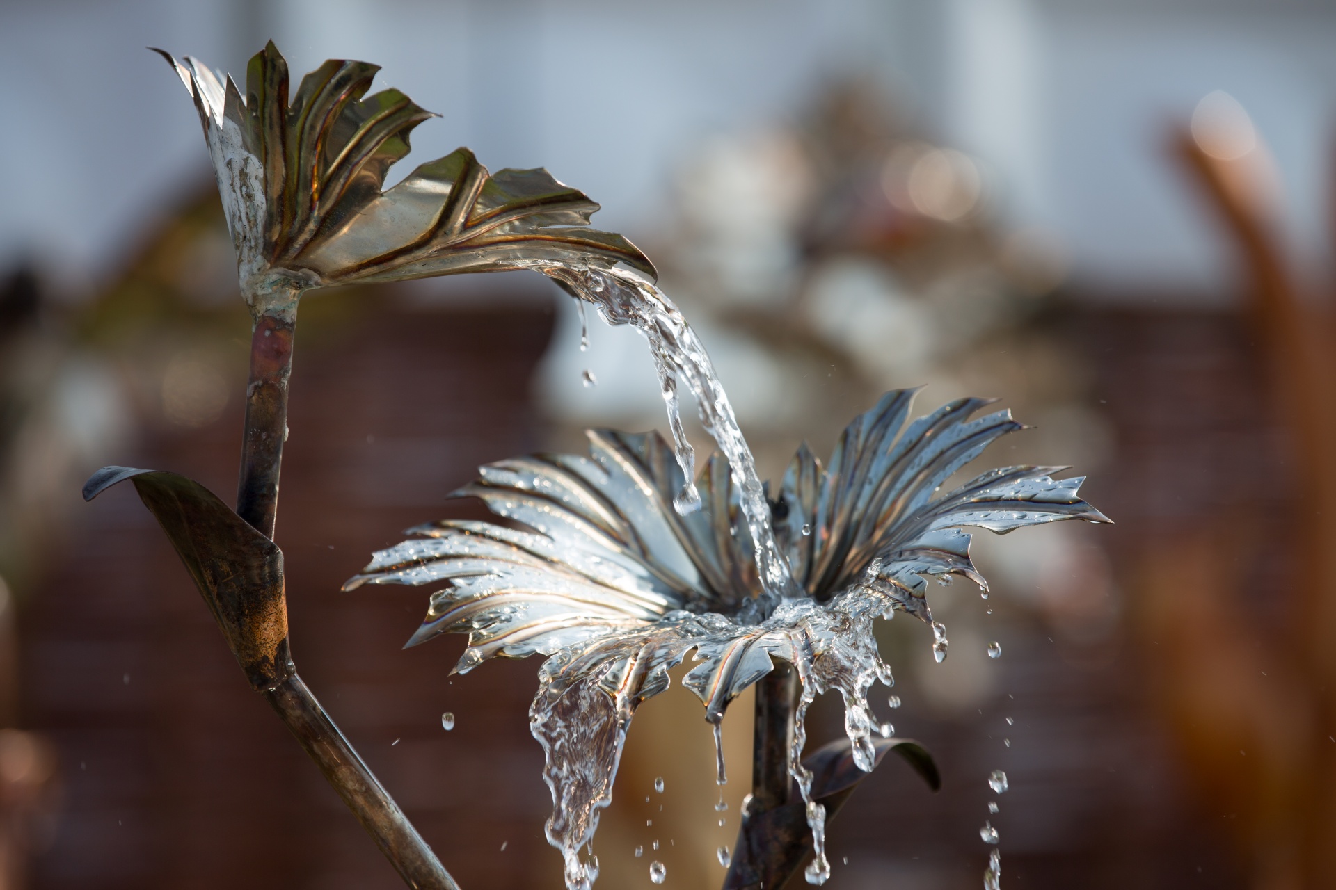 fountain gardening garden free photo