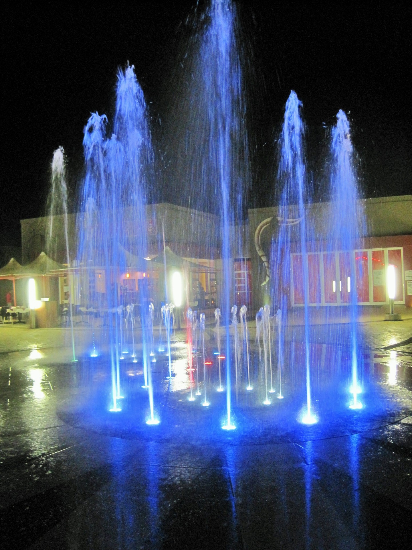 fountain water lights free photo