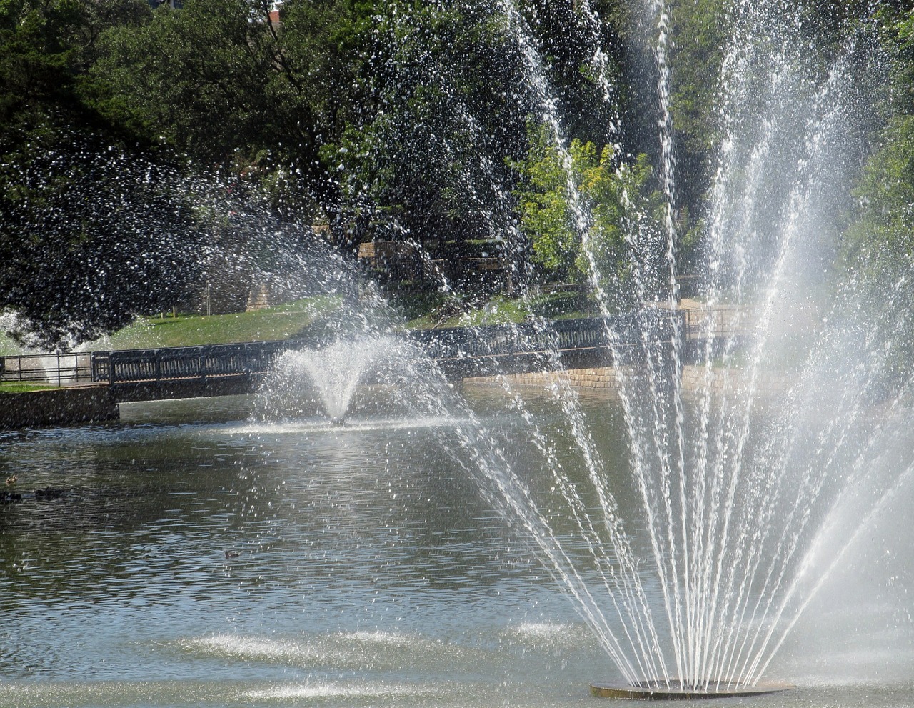 fountains lake water free photo